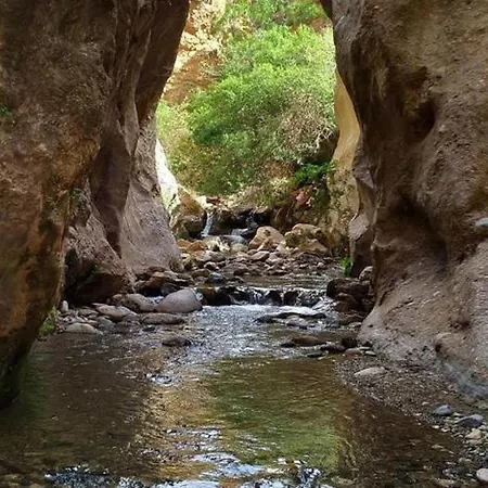 La Paz De Alpujarras * Padules